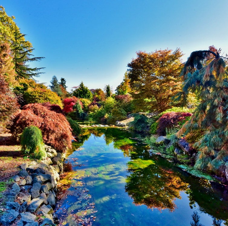 Whitney Gardens a Washington Botanical Garden and Nursery